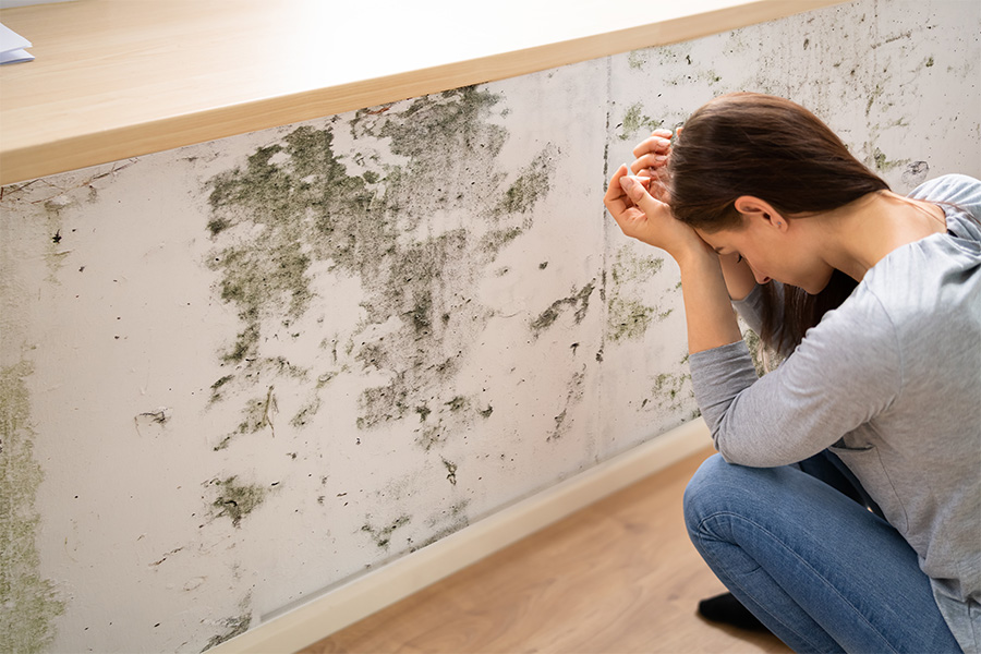 mold